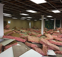 CeilingRemoval1 1